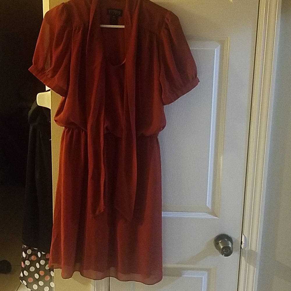 Beautiful burnt orange  dress